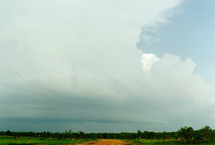 thunderstorm cumulonimbus_incus : Litchfield Park, NT   1 December 1997