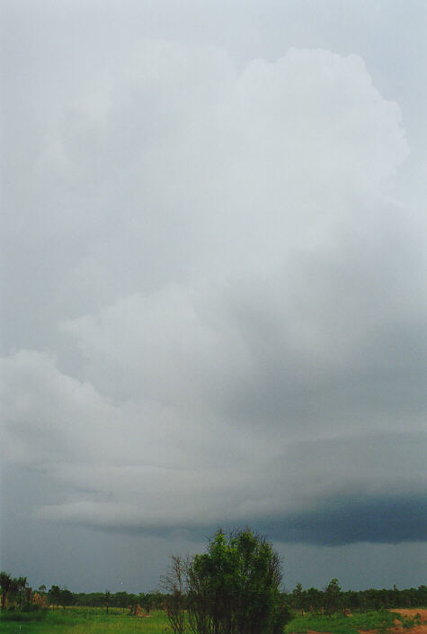thunderstorm cumulonimbus_incus : Litchfield Park, NT   1 December 1997
