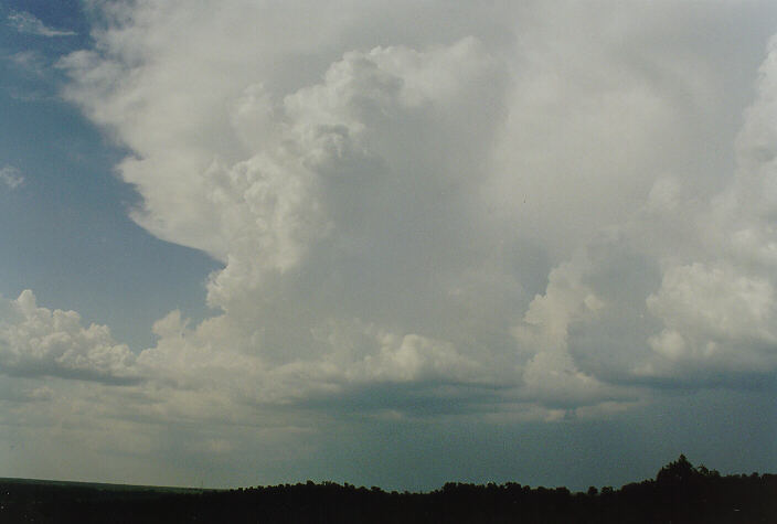 thunderstorm cumulonimbus_incus : near Humpty Doo, NT   2 December 1997