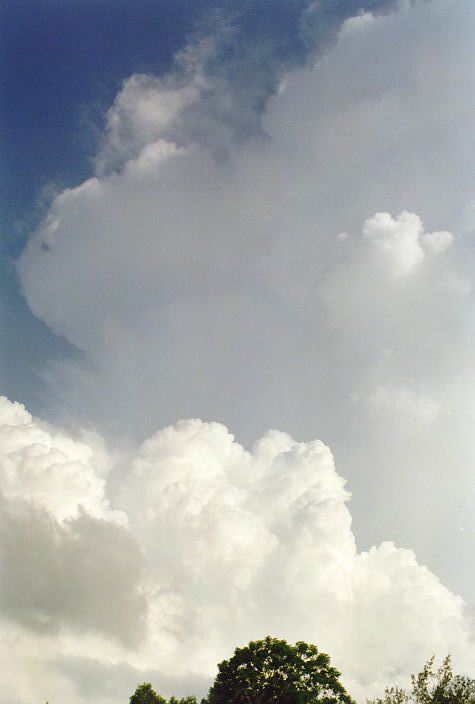 thunderstorm cumulonimbus_incus : Darwin, NT   5 December 1997