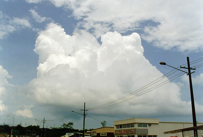 cumulus congestus : Darwin, NT   5 December 1997