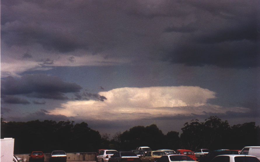 thunderstorm cumulonimbus_incus : Pymble, NSW   19 December 1997