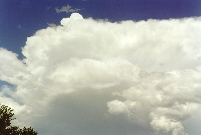 thunderstorm cumulonimbus_incus : Oakhurst, NSW   19 December 1997