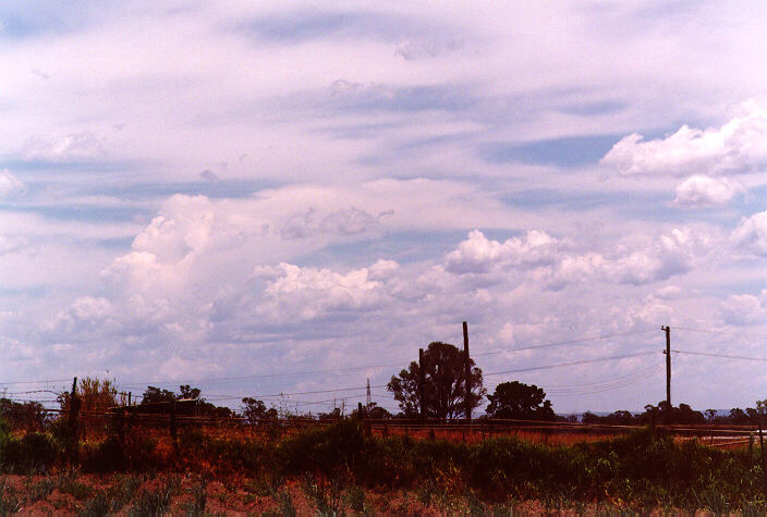cumulus mediocris : Schofields, NSW   21 December 1997