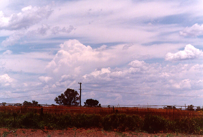thunderstorm cumulonimbus_incus : Schofields, NSW   21 December 1997