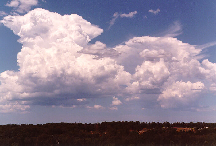 updraft thunderstorm_updrafts : Schofields, NSW   21 December 1997