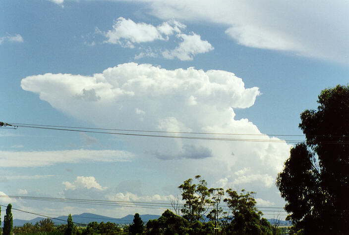 thunderstorm cumulonimbus_incus : Tamworth, NSW   22 December 1997