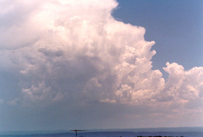 thunderstorm cumulonimbus_incus : Riverstone, NSW   1 January 1998