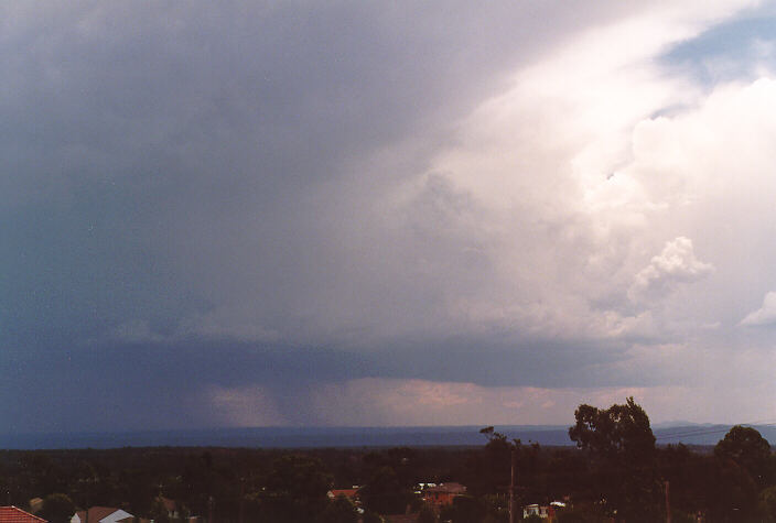 raincascade precipitation_cascade : Riverstone, NSW   1 January 1998
