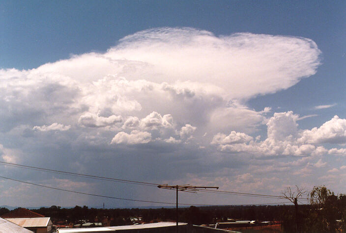 thunderstorm cumulonimbus_incus : Schofields, NSW   2 January 1998