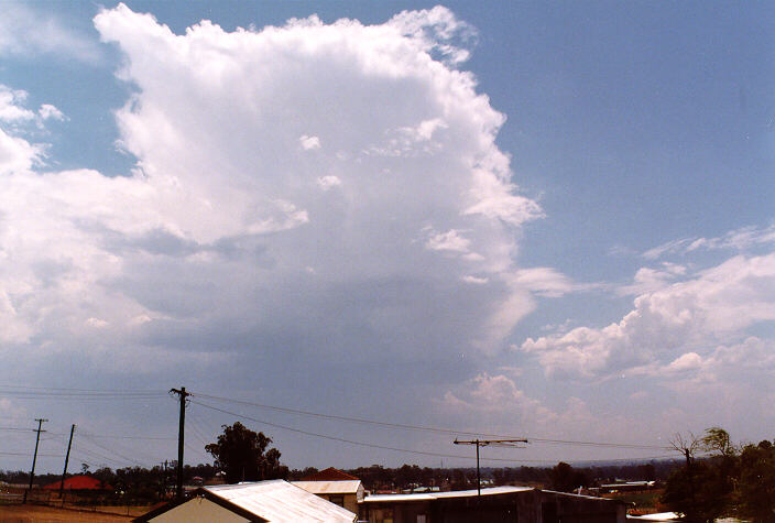 thunderstorm cumulonimbus_incus : Schofields, NSW   3 January 1998