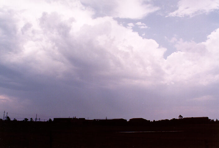 thunderstorm cumulonimbus_incus : McGraths Hill, NSW   3 January 1998