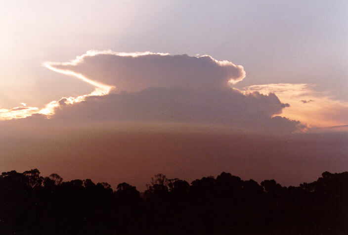 sunset sunset_pictures : Schofields, NSW   4 January 1998