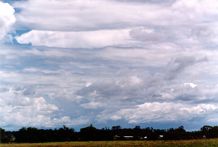 altocumulus castellanus : Grafton, NSW   15 January 1998