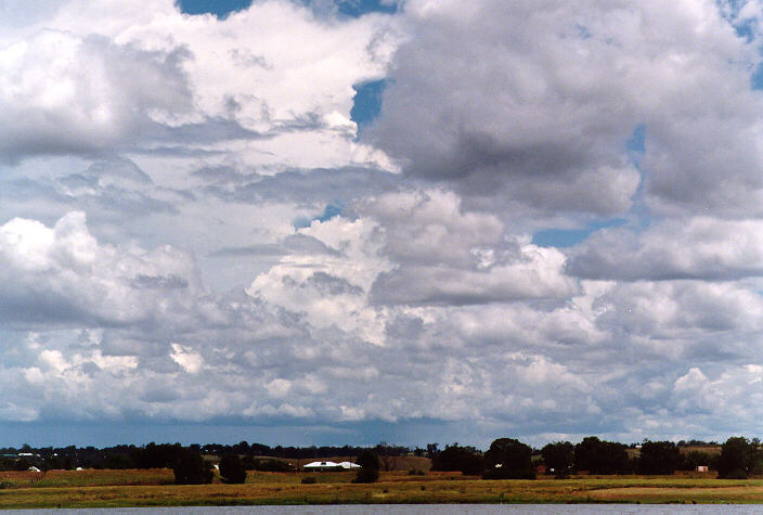 thunderstorm cumulonimbus_incus : Grafton, NSW   15 January 1998