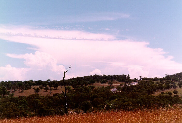 thunderstorm cumulonimbus_incus : east of Armidale, NSW   19 January 1998