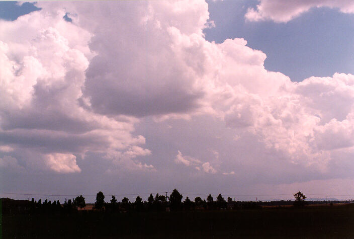 thunderstorm cumulonimbus_incus : near Singleton, NSW   20 January 1998