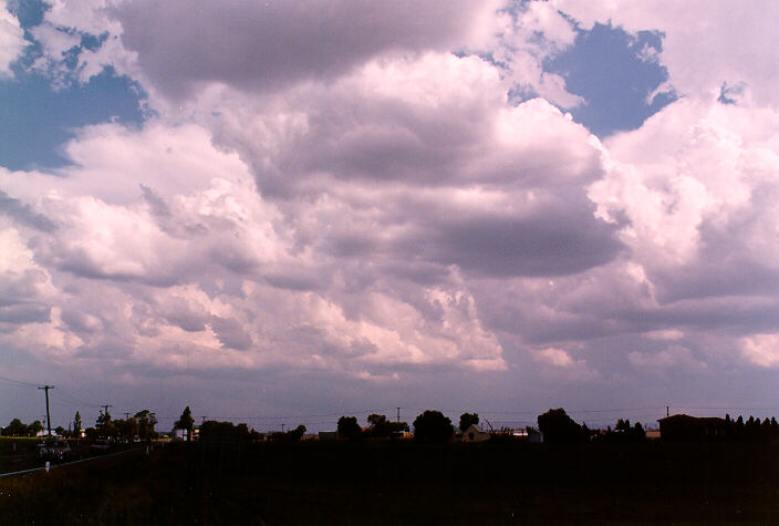 thunderstorm cumulonimbus_incus : near Singleton, NSW   20 January 1998
