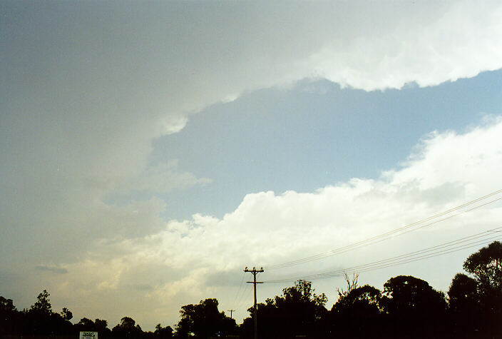 thunderstorm cumulonimbus_incus : Windsor Downs, NSW   20 January 1998