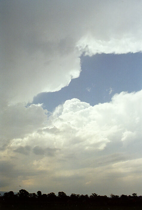 anvil thunderstorm_anvils : Rooty Hill, NSW   20 January 1998