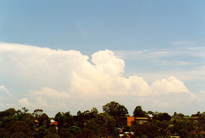 thunderstorm cumulonimbus_incus : Rooty Hill, NSW   1 February 1998