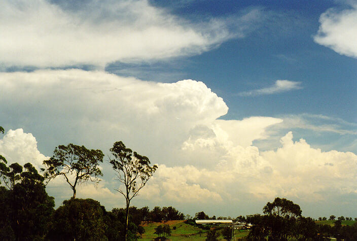 cirrus cirrus_cloud : Horsley Park, NSW   1 February 1998