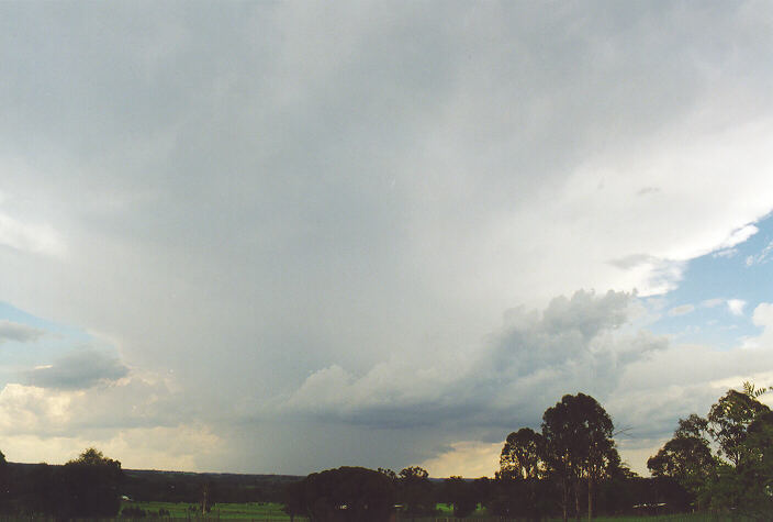 anvil thunderstorm_anvils : Camden, NSW   1 February 1998