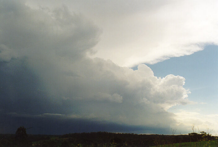 thunderstorm cumulonimbus_incus : Camden, NSW   1 February 1998