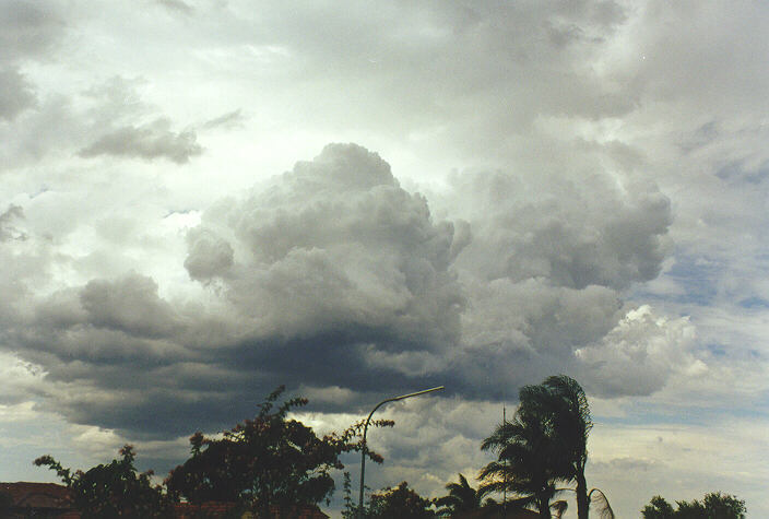 cumulus congestus : Oakhurst, NSW   16 February 1998