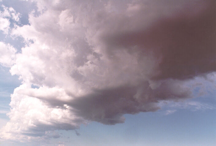 updraft thunderstorm_updrafts : Schofields, NSW   3 March 1998