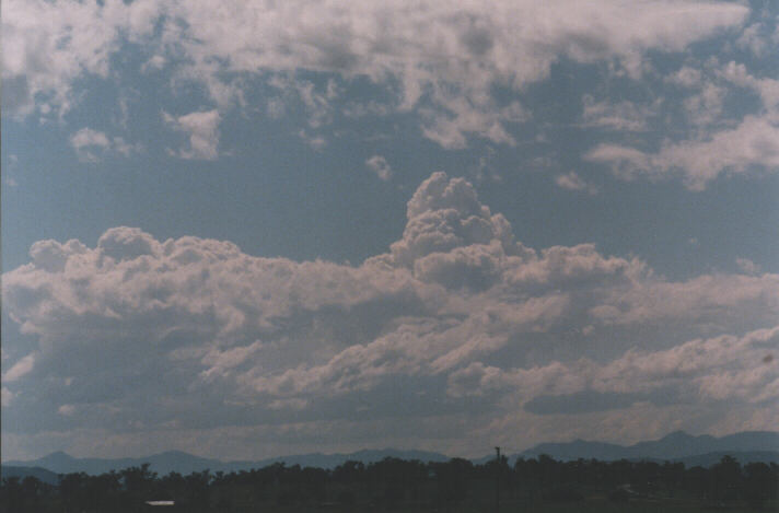 altocumulus castellanus : Muswellbrook, NSW   4 October 1998