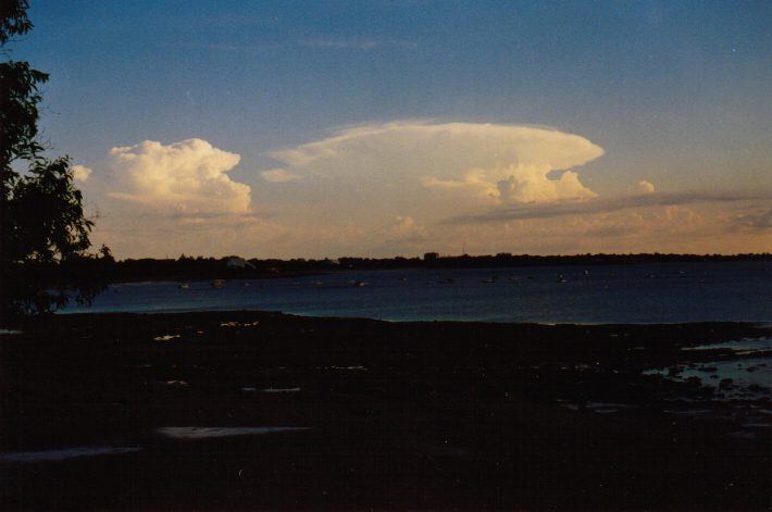 contributions received : Darwin, NT<BR>Photo by John Bath   14 October 1998