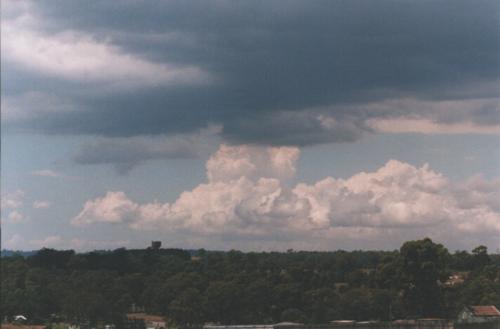 thunderstorm cumulonimbus_calvus : Schofields, NSW   31 October 1998