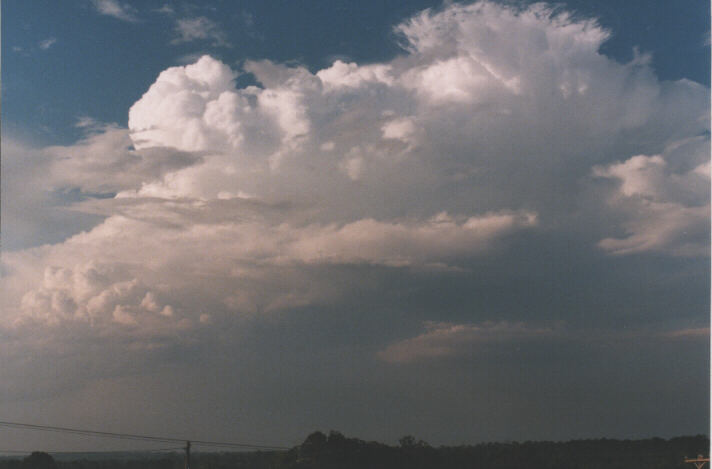 stratus stratus_cloud : Schofields, NSW   7 November 1998