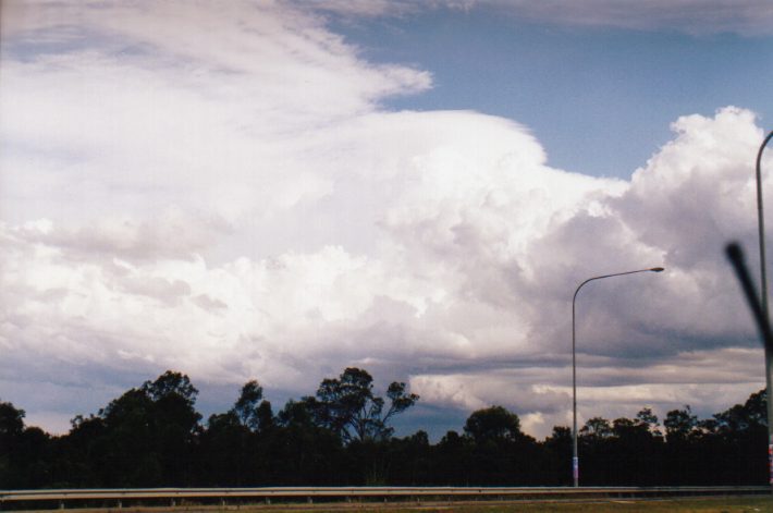 thunderstorm cumulonimbus_calvus : Cecil Park, NSW   13 November 1998