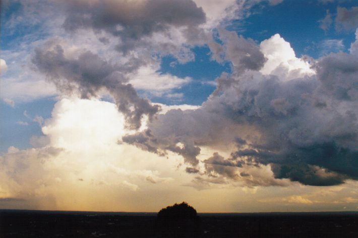 cumulus congestus : Horsley Park, NSW   13 November 1998