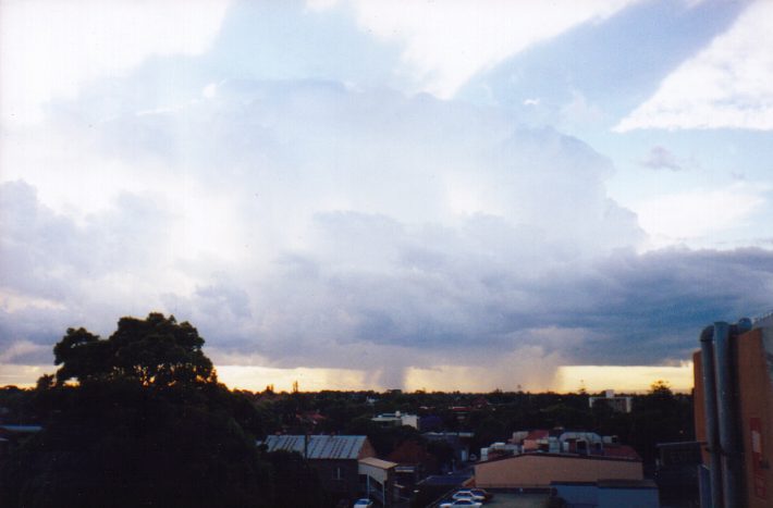 contributions received : Burwood, NSW<BR>Photo by Matt Smith   13 November 1998