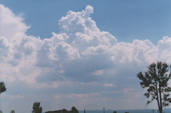 cumulus congestus : Luddenham, NSW   12 December 1998