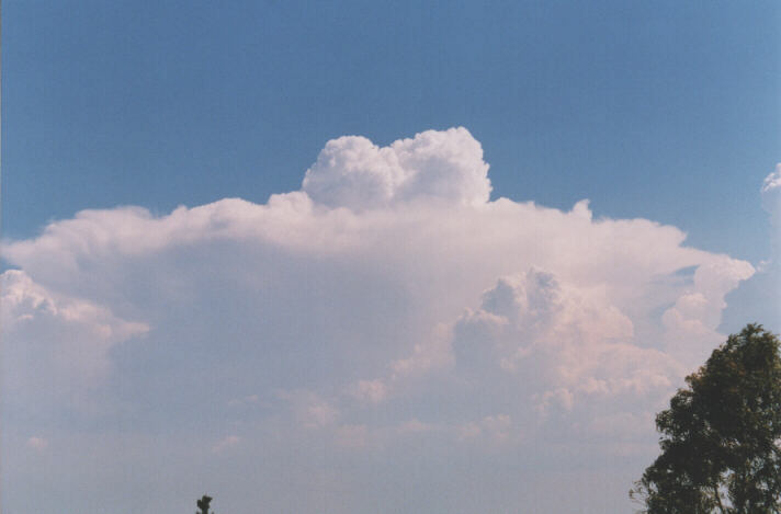 thunderstorm cumulonimbus_incus : Luddenham, NSW   12 December 1998