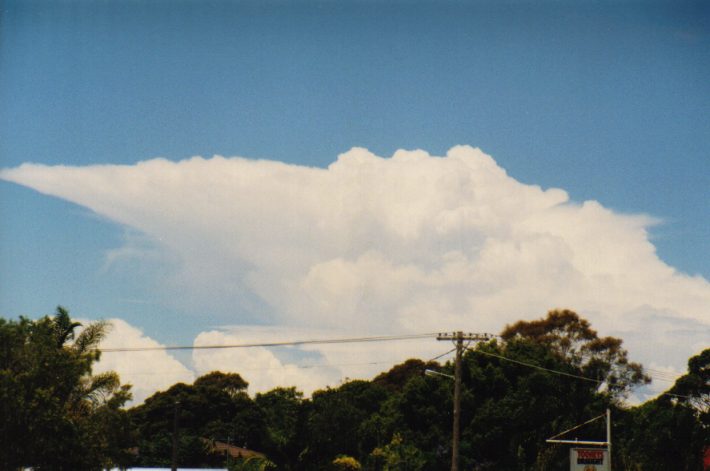 thunderstorm cumulonimbus_incus : Cundletown, NSW   19 December 1998
