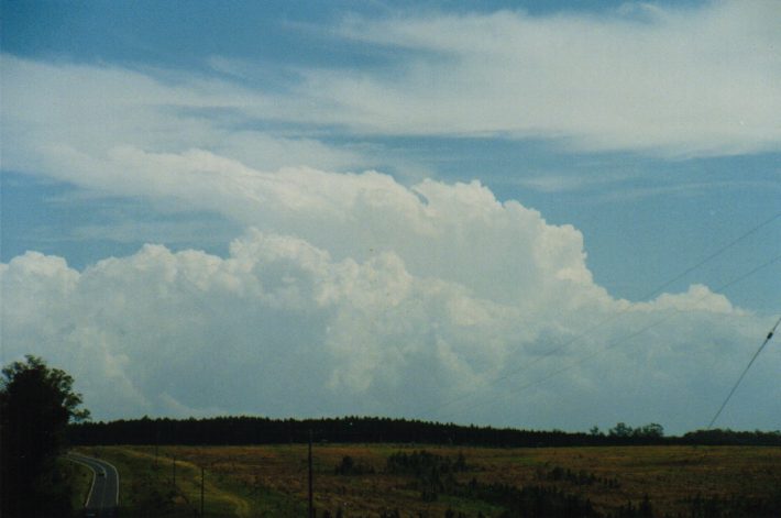 thunderstorm cumulonimbus_incus : N of Grafton, NSW   30 December 1998