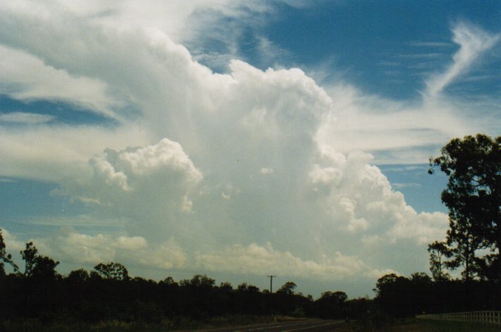 thunderstorm cumulonimbus_incus : N of Grafton, NSW   30 December 1998
