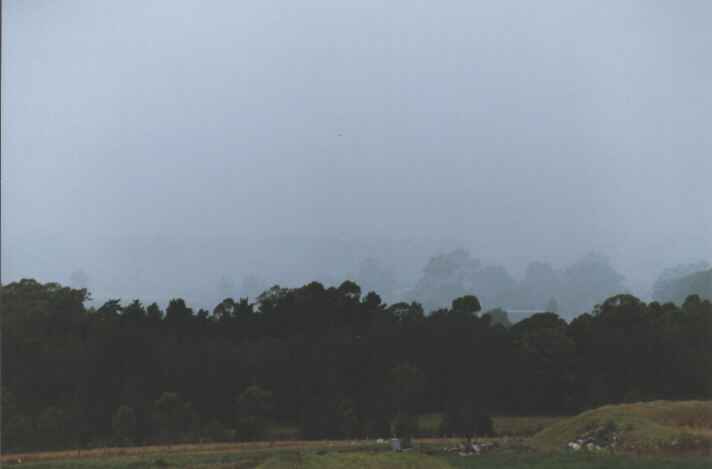 precipitation precipitation_rain : Schofields, NSW   1 January 1999