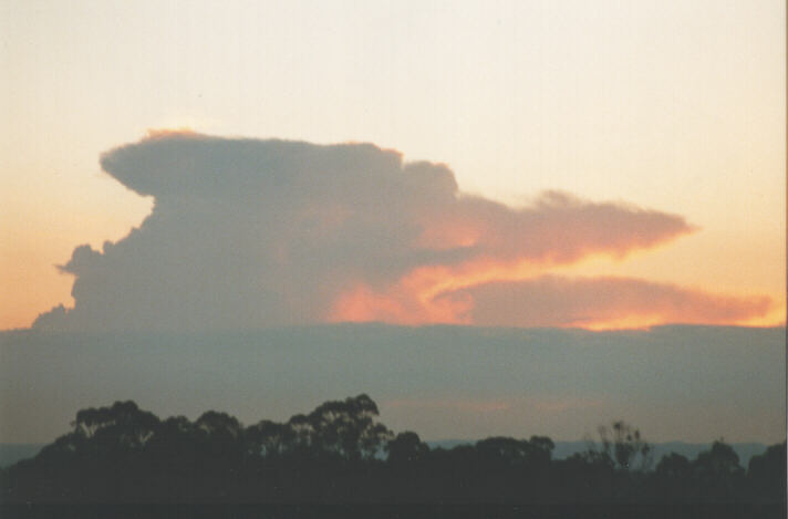thunderstorm cumulonimbus_incus : Schofields, NSW   3 January 1999