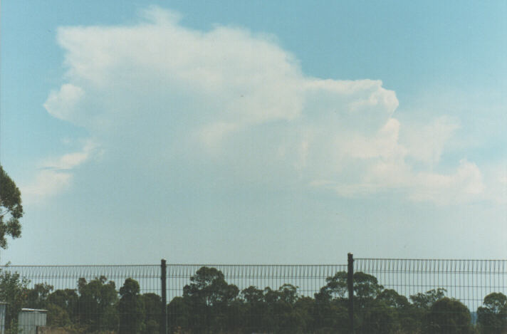thunderstorm cumulonimbus_incus : Schofields, NSW   7 January 1999