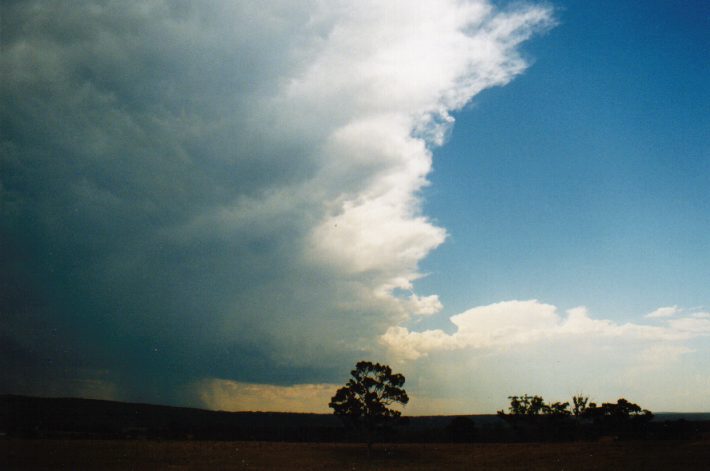 thunderstorm cumulonimbus_incus : Luddenham, NSW   19 January 1999
