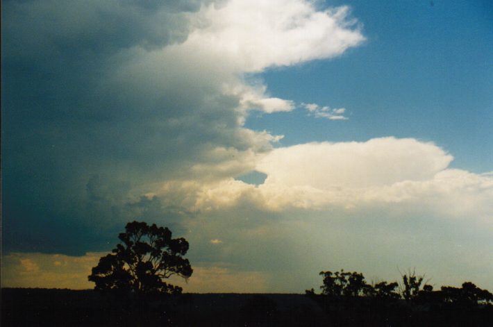 thunderstorm cumulonimbus_incus : Luddenham, NSW   19 January 1999