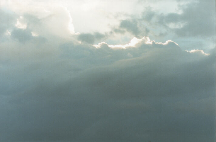 thunderstorm cumulonimbus_calvus : Schofields, NSW   24 January 1999