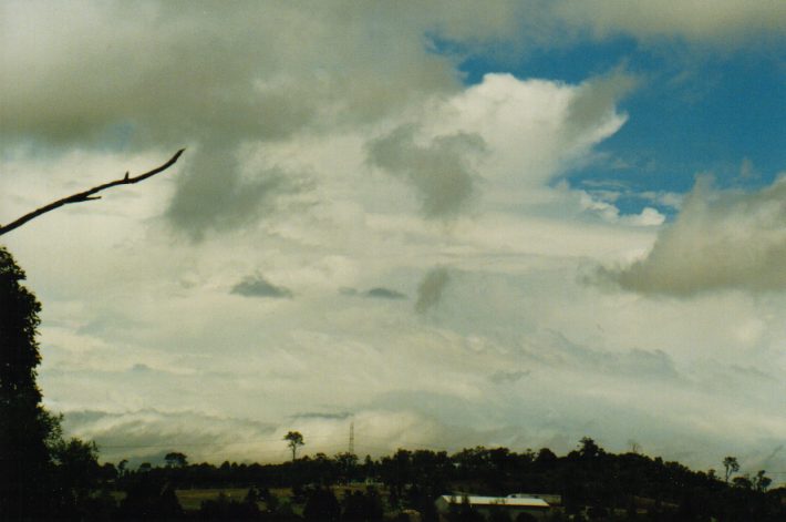 thunderstorm cumulonimbus_incus : Cobbity, NSW   24 January 1999