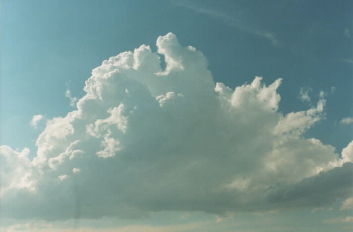 thunderstorm cumulonimbus_calvus : Rooty Hill, NSW   29 January 1999